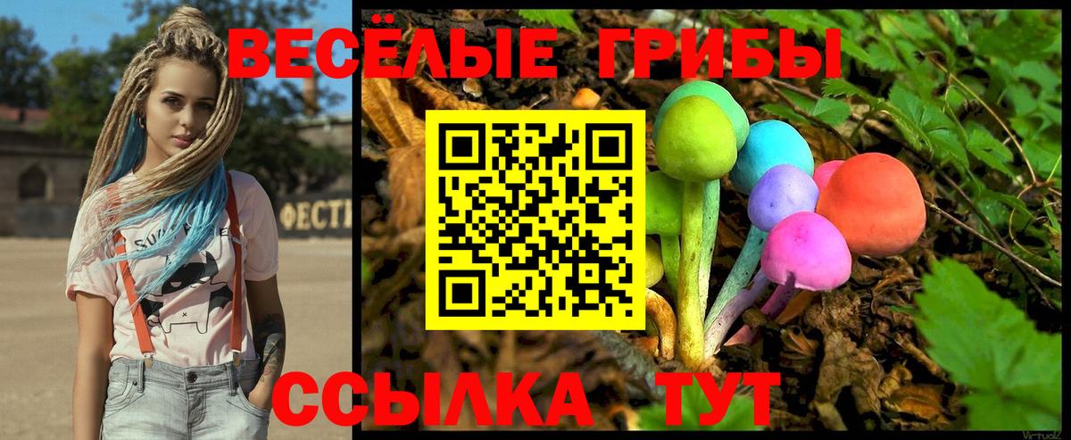 Галлюциногенные грибы прущие грибы Кандалакша