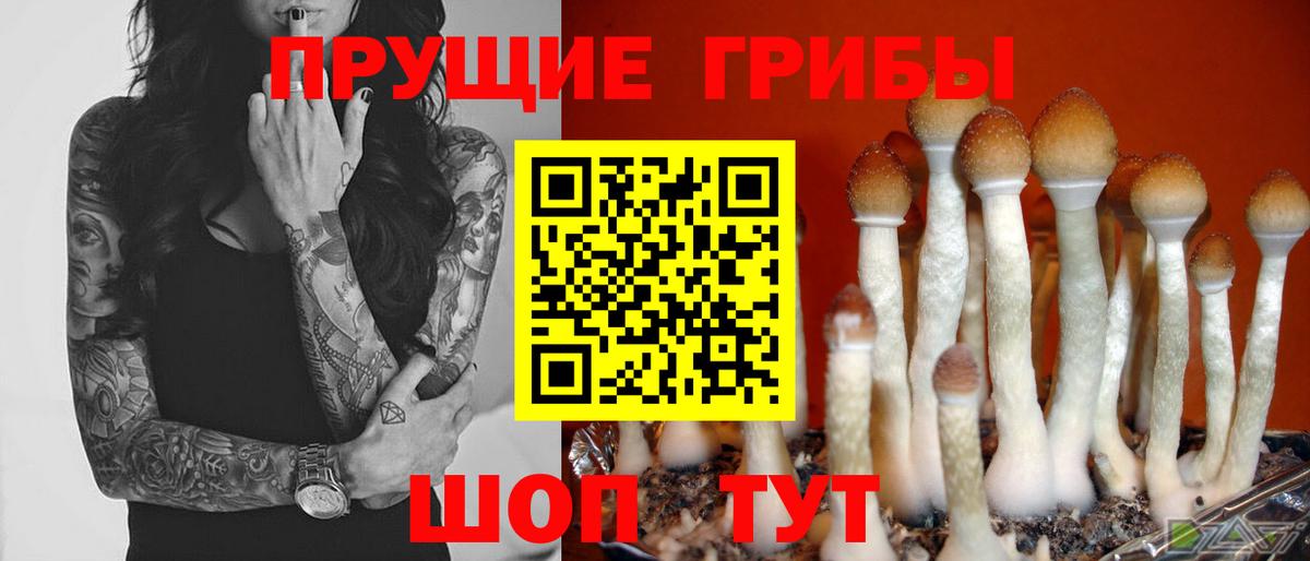 Кандалакша  Галлюциногенные грибы ЛСД  даркнет сайт  Вход с VPN  Псилоцибиновые грибы Cubensis 